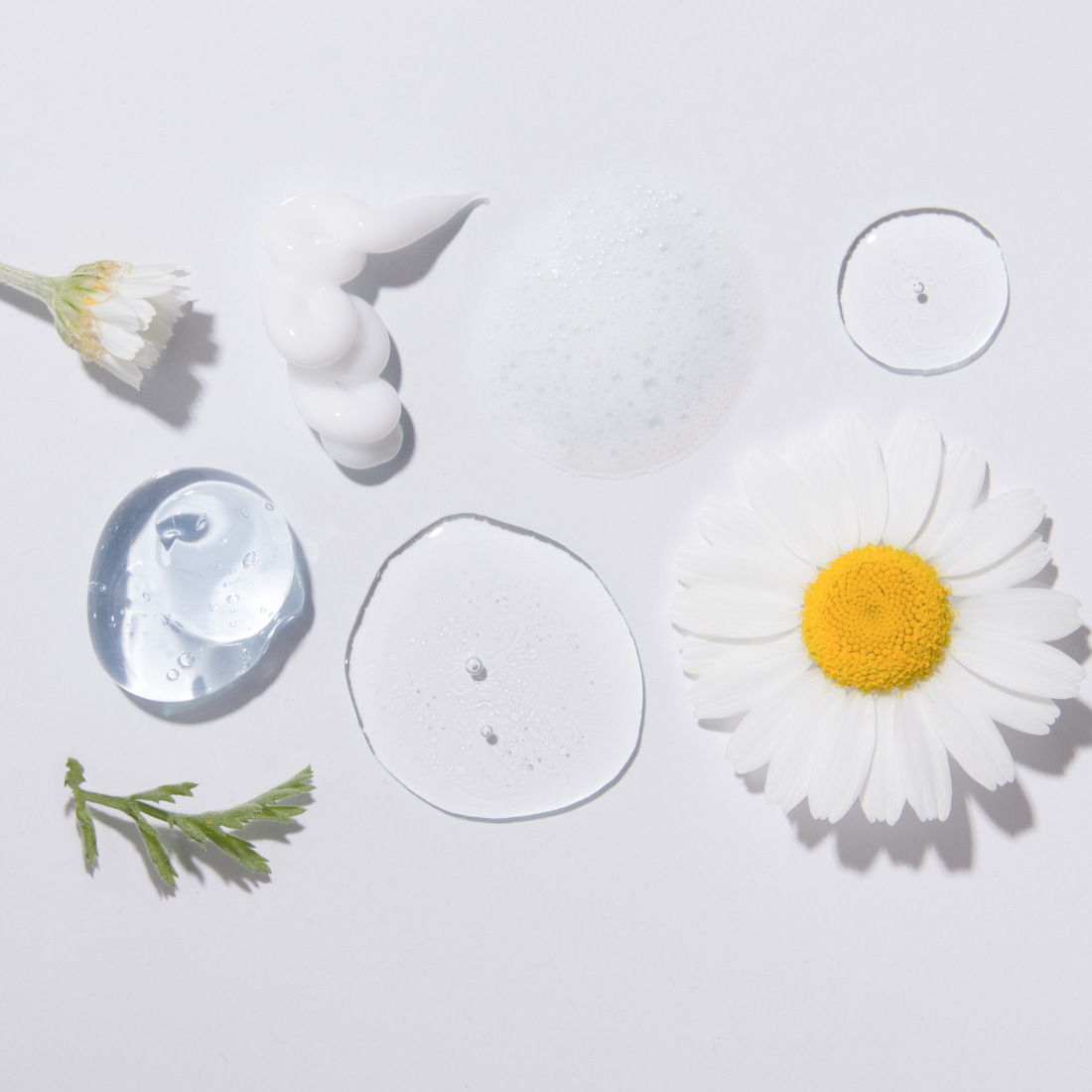 Various skincare serums and creams on a white background next to a daisy